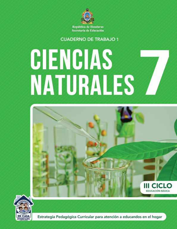 Cuaderno de Trabajo 1 de Ciencias Naturales 7 Septimo Grado Honduras 2021
